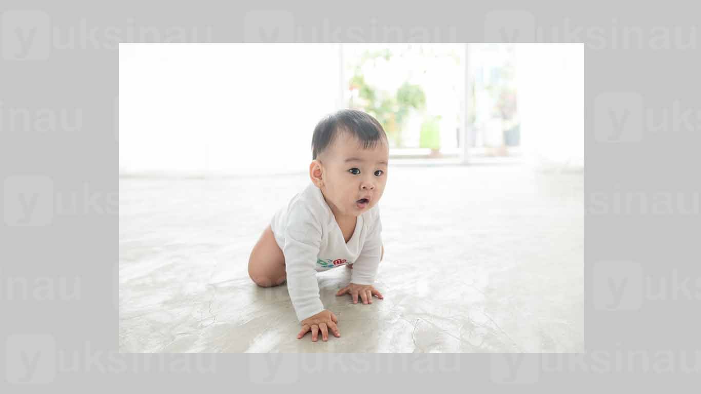 Perkembangan Perkembangan