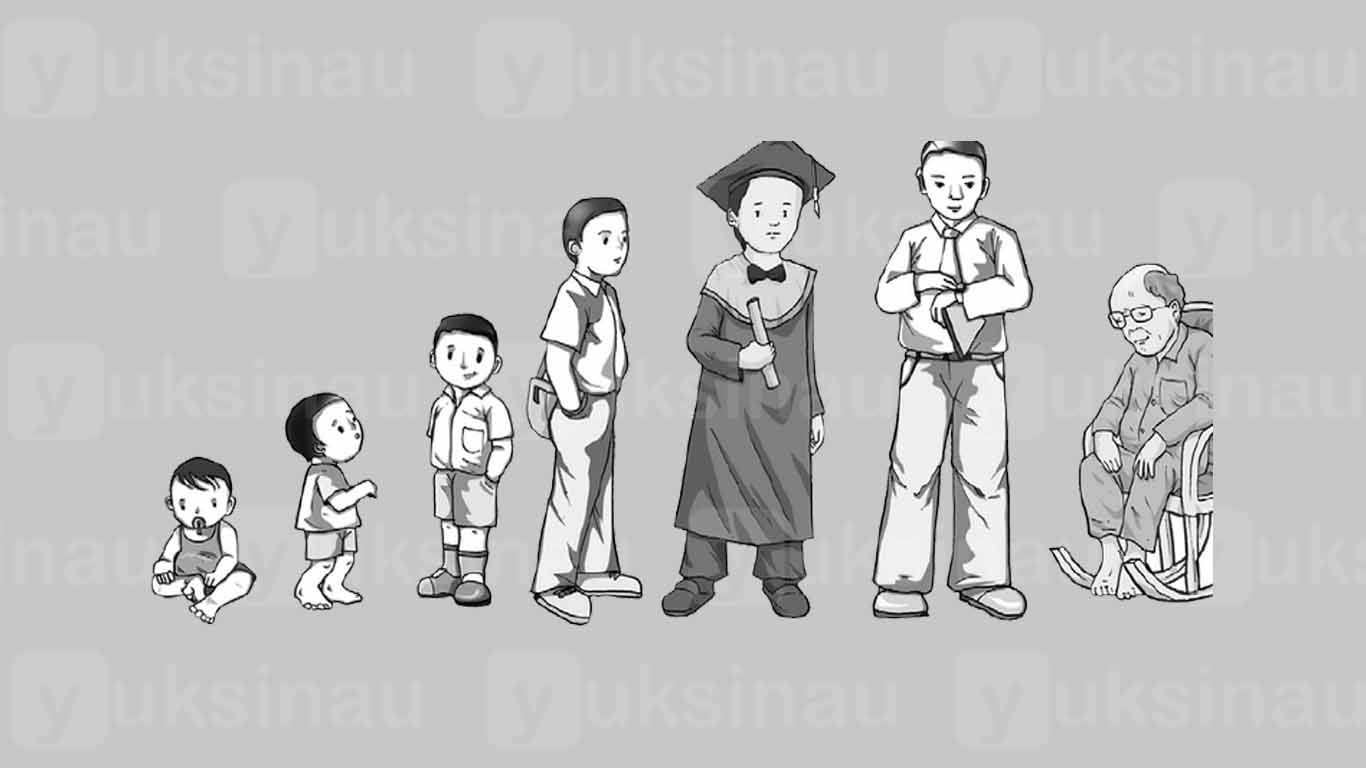 Pertumbuhan Pertumbuhan