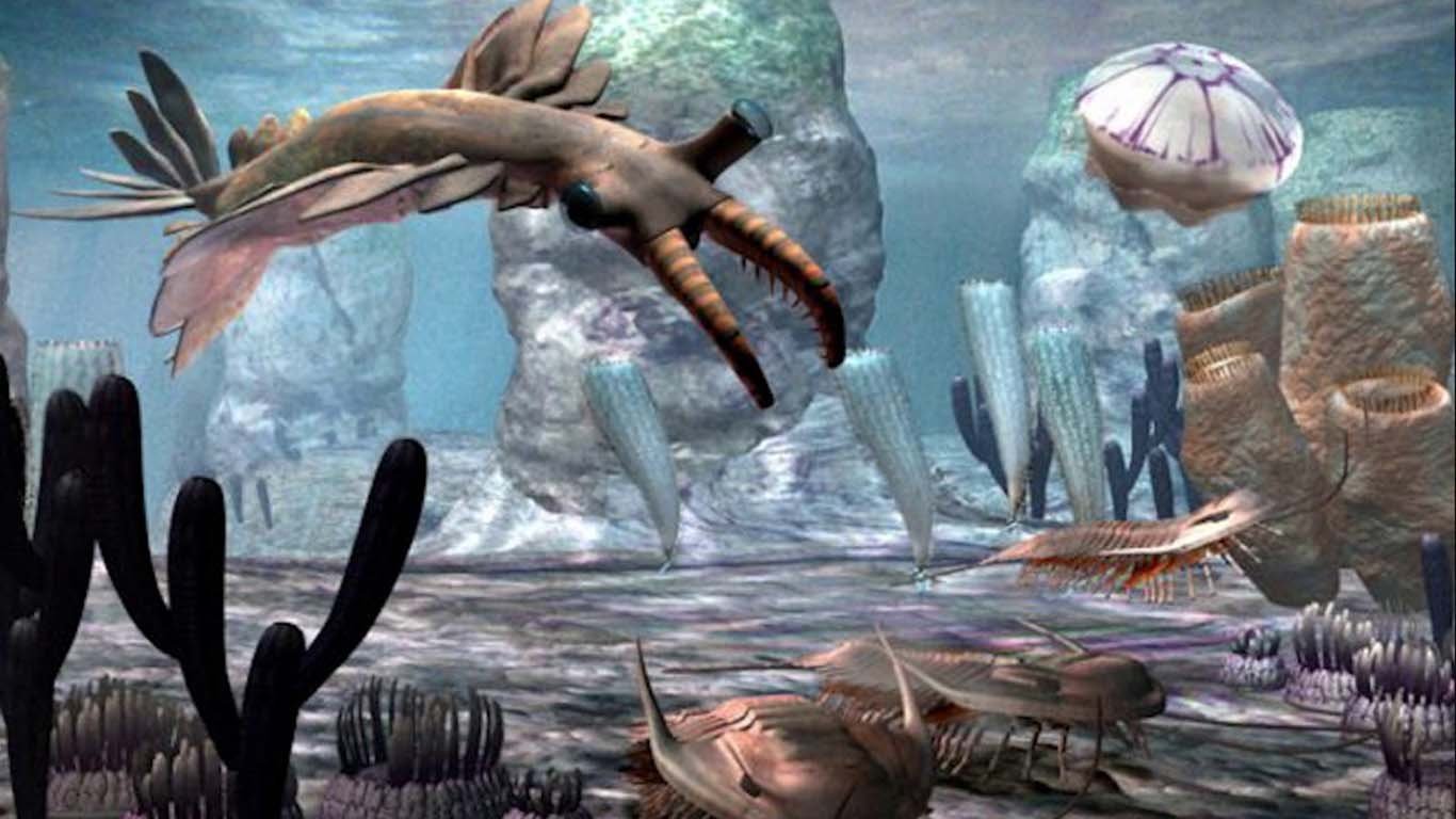 Zaman Paleozoikum Zaman Paleozoikum