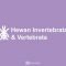 Hewan Invertebrata dan Vertebrata
