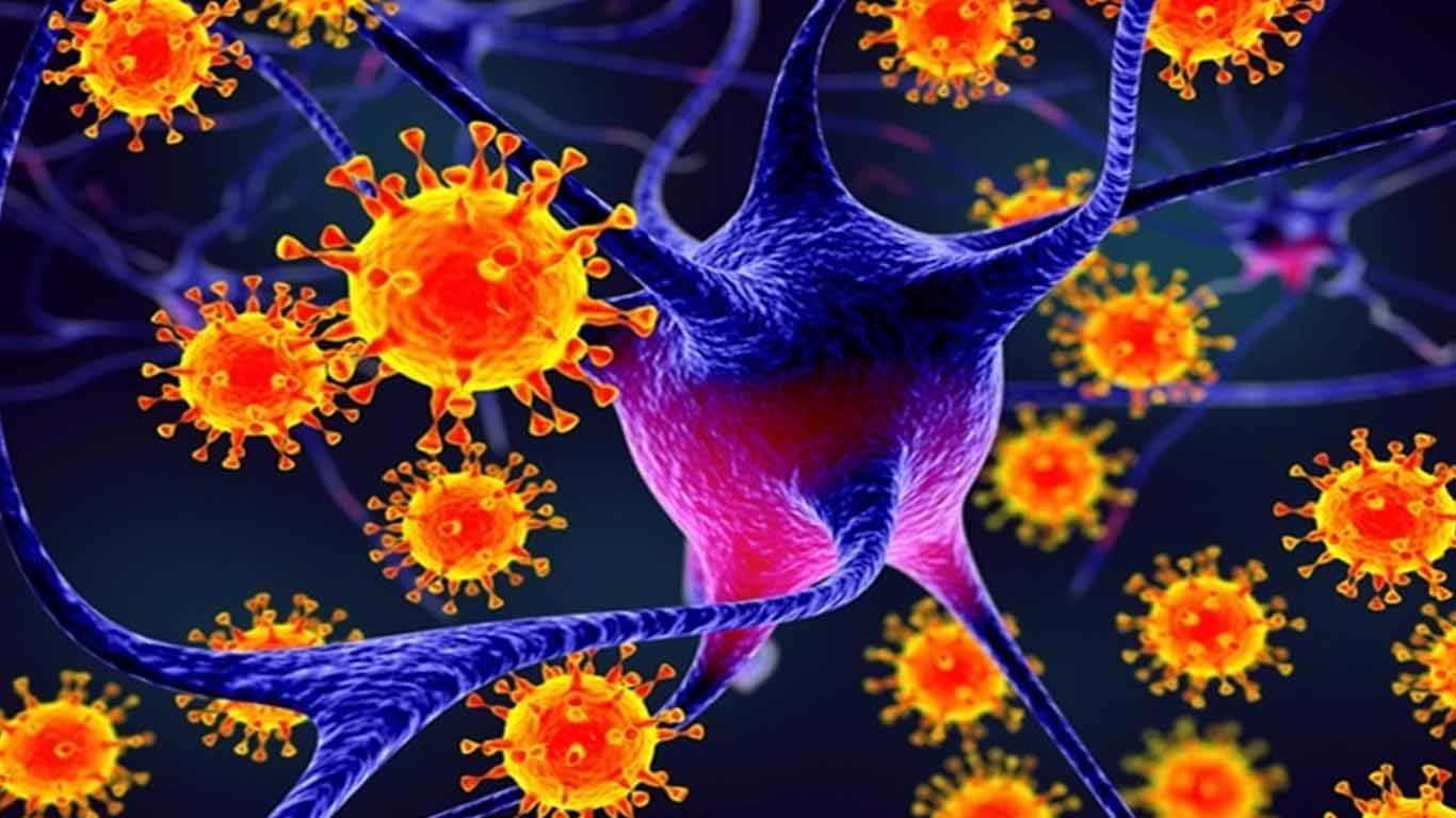 Ciri-Ciri Virus Ciri-Ciri Virus