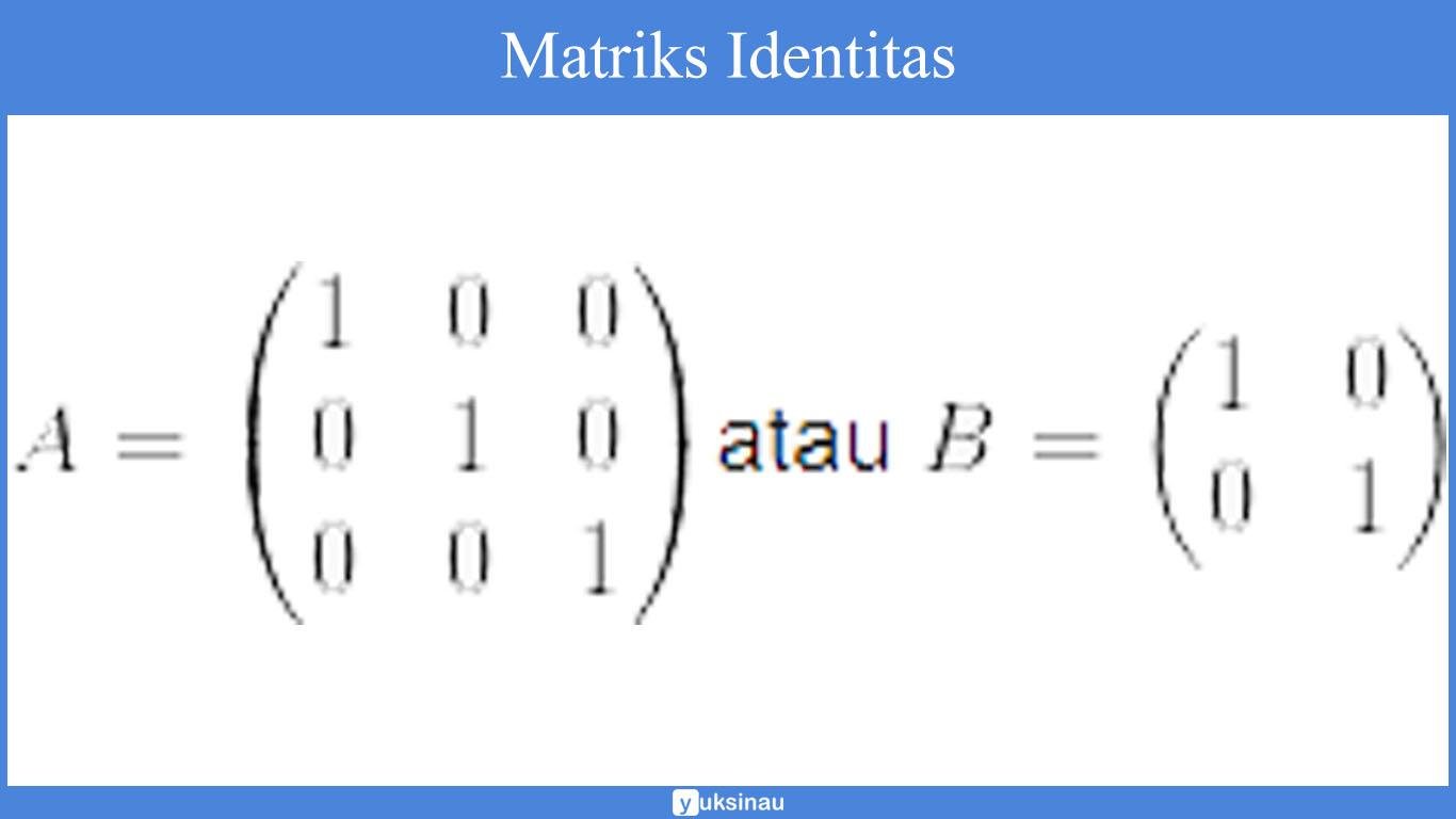 elemen matriks determinan elemen matriks determinan