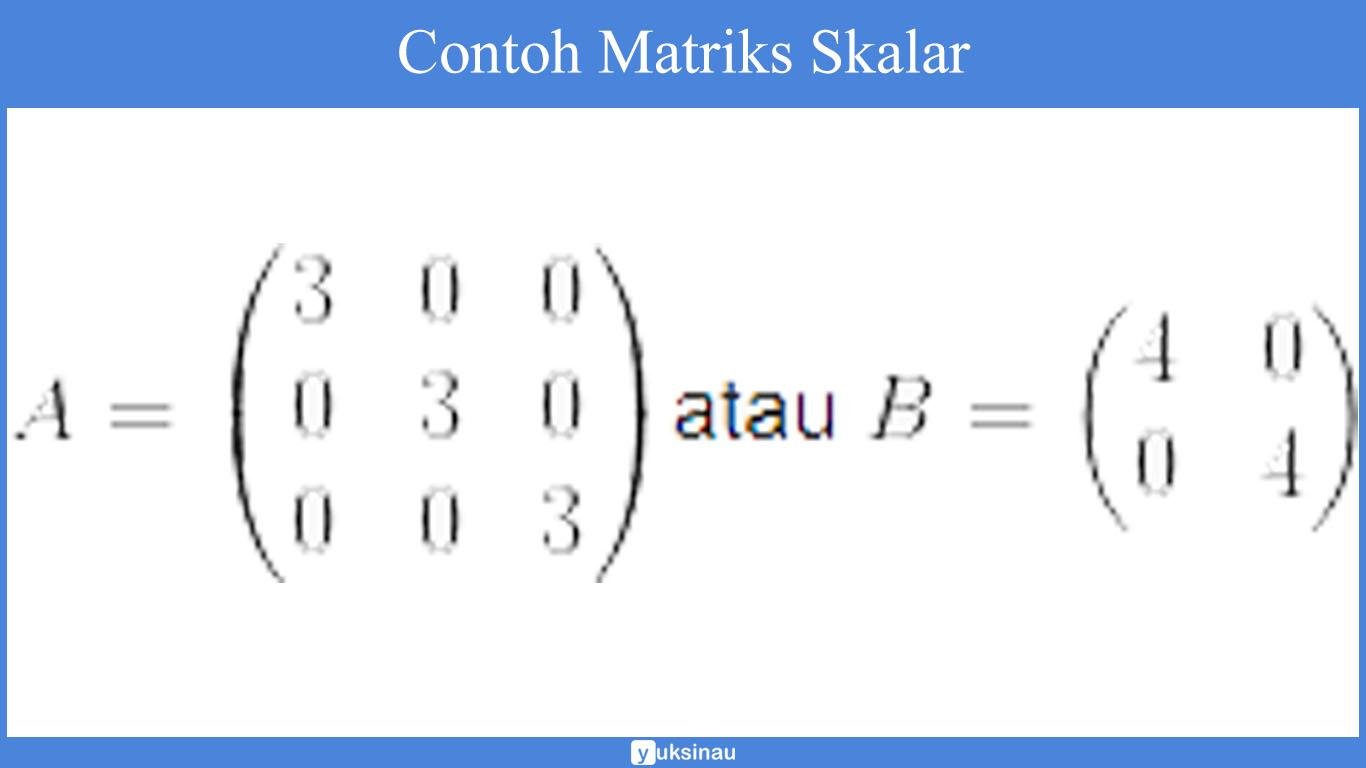 ordo matriks ordo matriks