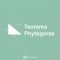 Teorema PhytagorasTeorema Phytagoras