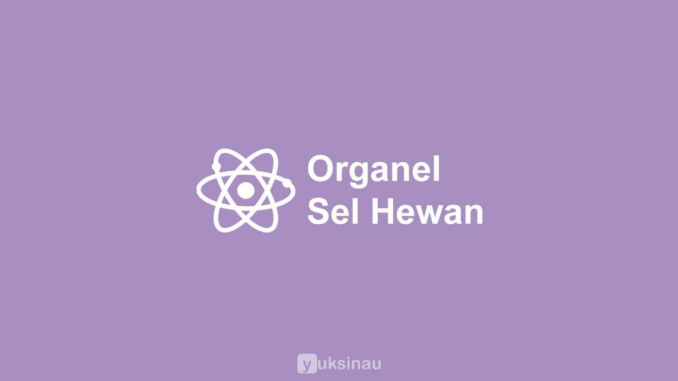 Organel Sel Hewan