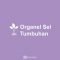 Organel Sel Tumbuhan