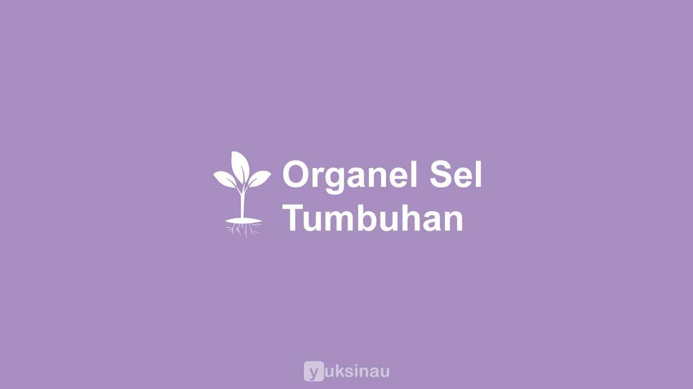 Organel Sel Tumbuhan