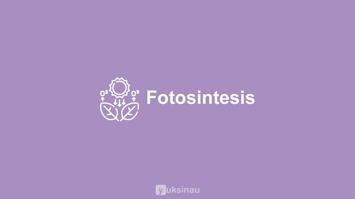 Fotosintesis