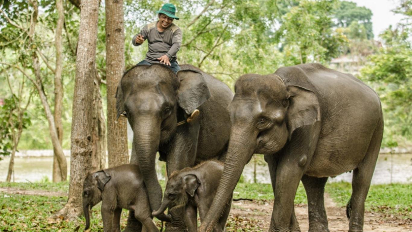 contoh descriptive text contoh descriptive text