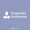 Pengertian Profesionalisme