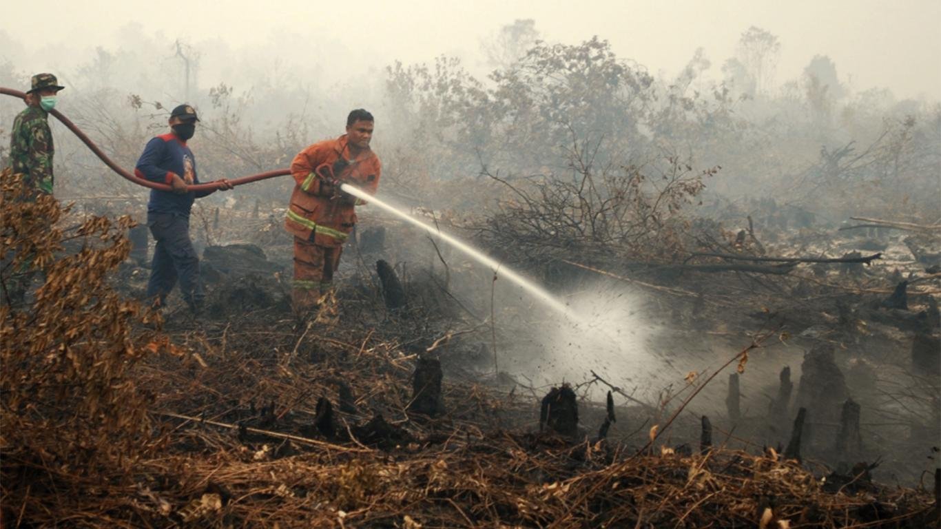 Contoh Teks Eksposisi Laporan Contoh Teks Eksposisi Laporan