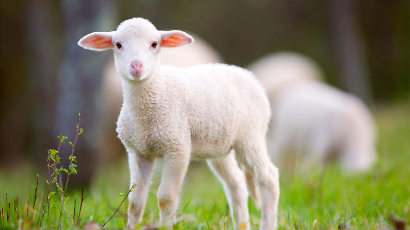 contoh teks eksposisi panjang contoh teks eksposisi panjang