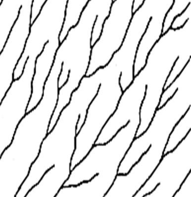 Aliran Paralel Aliran Paralel