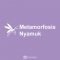 Metamorfosis Nyamuk
