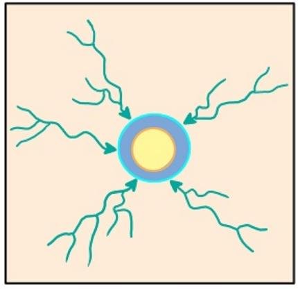 makalah pola aliran sungai makalah pola aliran sungai