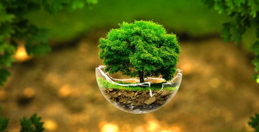 jelaskan-pengertian-wakaf-brainly