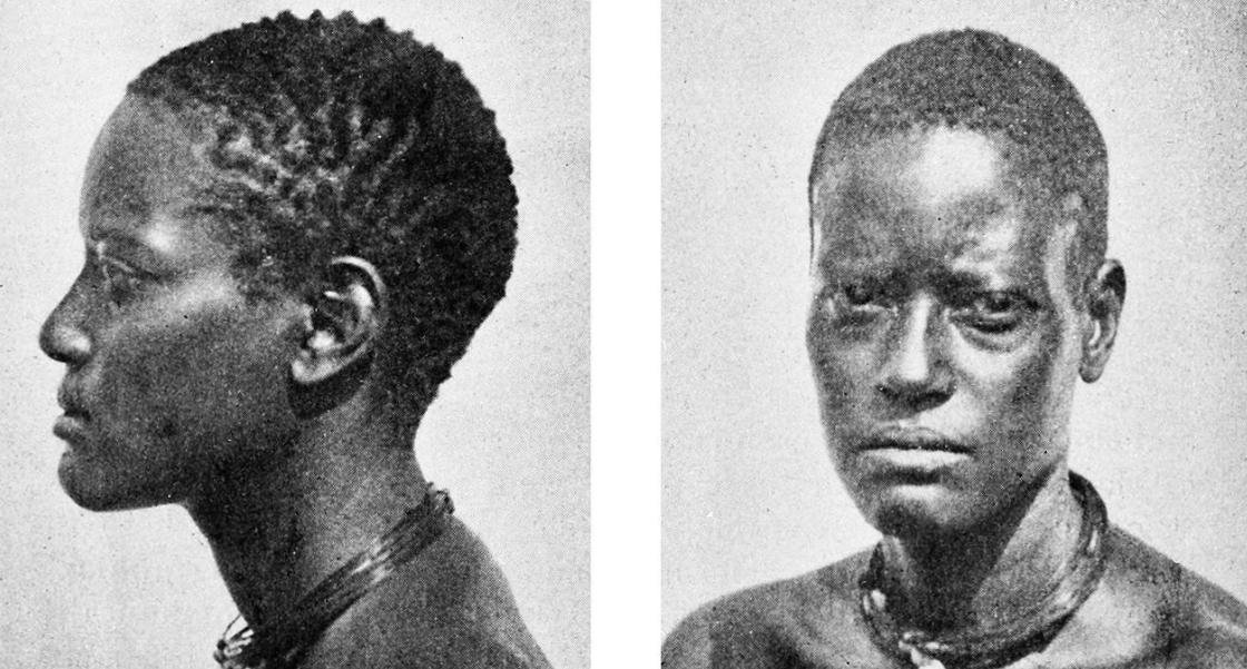 ras melanesoid berasal dari ras melanesoid berasal dari